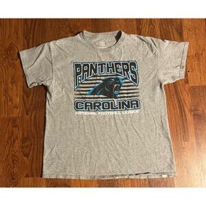 NFL Carolina Panthers Youth XL Boys Gray Graphic T-Shirt Short Sleeve Tee
